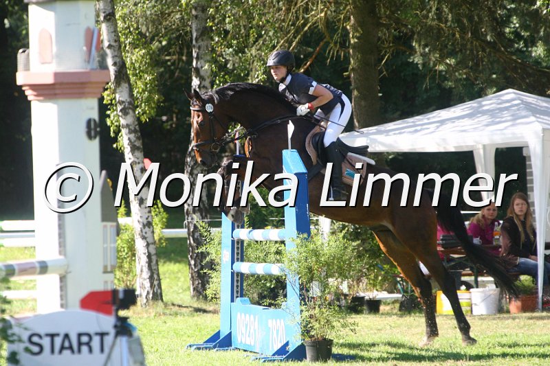 308M1237_Fortress Lightning_Spring L.JPG